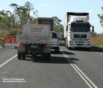 Bruce Highway ...actually truck drivers scare me during early night driving.....each early morning you may see dead animals along highway...