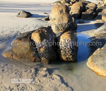 Bowen is a jewel in the Whitsundays crown with untouched beaches,