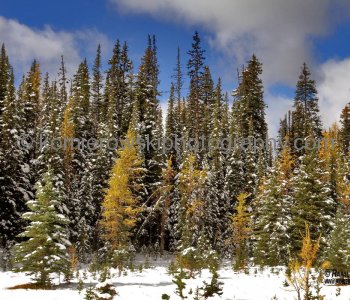 Hiking trail to Chester Lake from parking lot....gaining elevation of 300 meters...