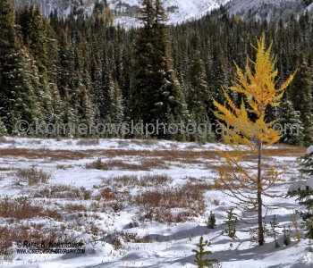 Hiking trail to Chester Lake from parking lot