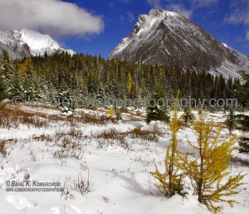 Hiking trail to Chester Lake from parking lot