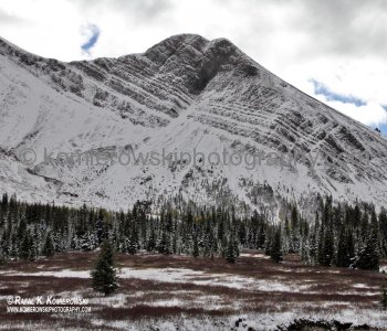 Hiking trail to Chester Lake from parking lot