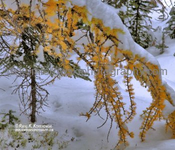 Chester Lake,Peter Lougheed Provincial Park,  Alberta