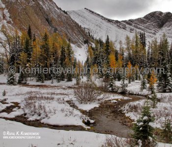 Scenery seen from trail to Chester Lake,Peter Lougheed Provincial Park,  Alberta
