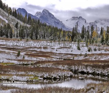Scenery seen from trail to Chester Lake,Peter Lougheed Provincial Park,  Alberta