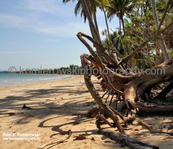 Mission Beach, a popular gateway to the Great Barrier Reef and rainforests...