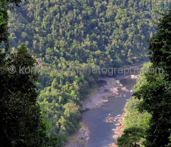 N. Johnstone River...view from Palmerston Hwy. 23...we hiked N. Johnstone R walking track for over one hour then returned back because was getting late and dark...