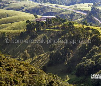 View point above Millaa Millaa, Queensland