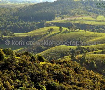 View point above Millaa Millaa, Queensland