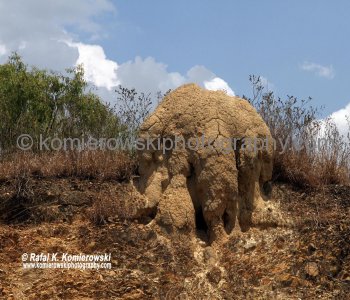 Termite Mound, Biboohra, Queensland