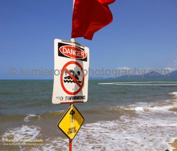 Another warning sign...the arrival of the box jellyfish close to the beach prevents swimming in the open waters...Holloways Beach