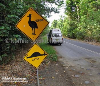 Self-explanatory warning sign...Cape Tribulation, Queensland