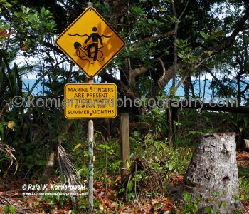 Cape Tribulation, Queensland