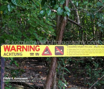 ....every beach in the area has the same warning sign above regarding crocs...Cape Tribulation, Queensland