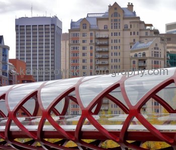 Peace Bridge, seen from Bow River Pathway (Memorial Drive NW), Calgary, Alberta