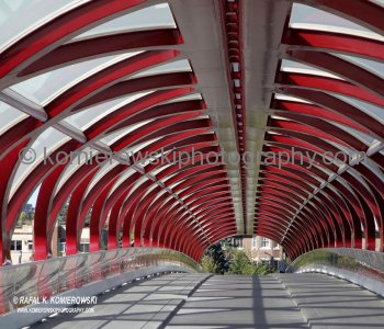 Peace Bridge, from Eau Claire Park, Calgary, Alberta
