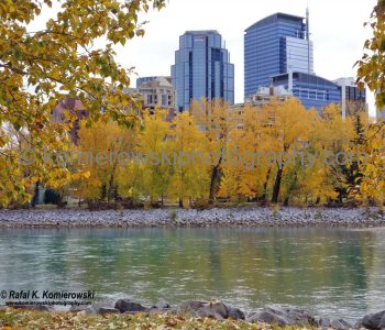 Eau Claire Park.. Bow River, seen from Bow River Pathway (Memorial Drive NW), Calgary, Alberta