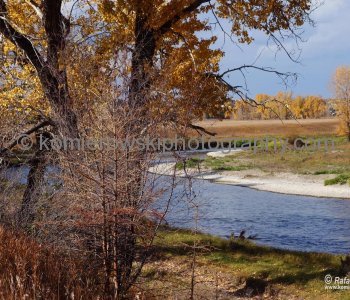 Bow River floodplain at Deer Run, Calgary, Alberta  (13 October 2013)