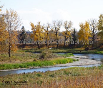 Bow River floodplain at Deer Run, Calgary, Alberta (13 October 2013)