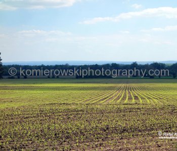Bernadoc, view from Hwy, 2 Zdechovice to Kutna Hora