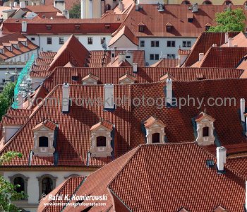 Famous red roofs (of Prague) seen from Hradčany ...castle district in Prague, Czech Republic