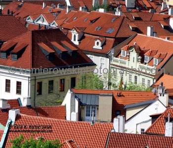 Famous red roofs (of Prague) seen from Hradčany ...castle district in Prague, Czech Republic