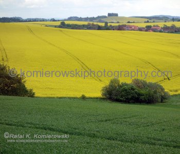 Colorful farmlands near Jemniště, Czech Republic