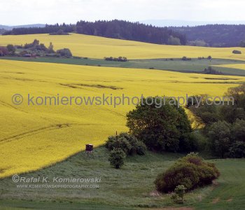 Colorful farmlands near Jemniště, Czech Republic