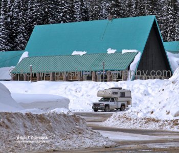 Summit Rogers Pass - Selkirk Mountains.  Weather - late March