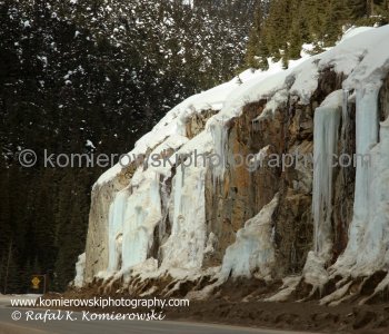 After crossing the pass you can feel the strong influence of the Pacific Ocean, the climate is humid and soft and Giant Cedars grow along the highway.