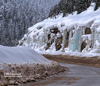 West of Roger Pass-on the way to Revelstoke (view eastbound towards Rogers Pass). Weather-late March