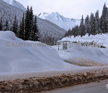 West of Rogers Pass-on the way to Revelstoke (view eastbound towards Rogers Pass). Weather-late March