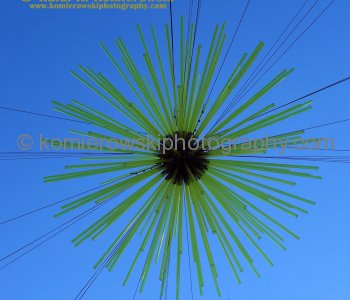 Solar Flare created by Caitlind R.C. Brown and Wayne Garrett in Calgary, Alberta, Canada