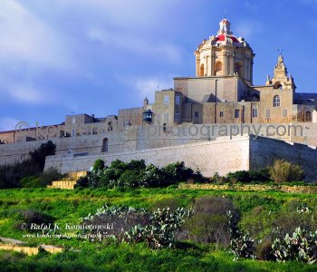 Day 10, Friday, 17 January 2014, Mdina, Malta