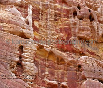 Today, the site of Petra seems to be a foolish place to build a city: it is dry and arid ...