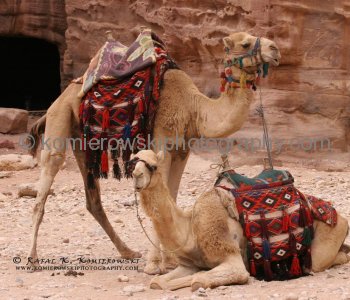 Petra