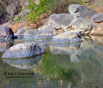 Ayn Razat oasis, natural spring, mountains of Salalah, Dhofar, Sultanate of Oman