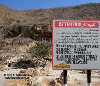 Ayn Razat oasis, natural spring, mountains of Salalah, Dhofar, Sultanate of Oman