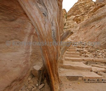 Petra, on the hiking trail to  Monastery-  which was never really a monastery ....