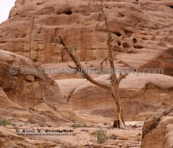 View of Amazing Geology on the way back from the Monastery to village of Petra, Jordan