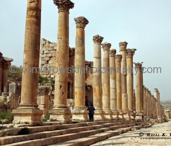 Street of Columns and the two streets crossing it at the North and South Tetrapylons.