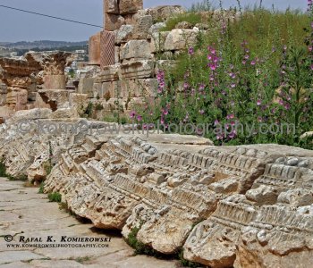 Jerash was excavated beginning in the 1920s by several scholars including Arthur Segal at the University of Haifa.