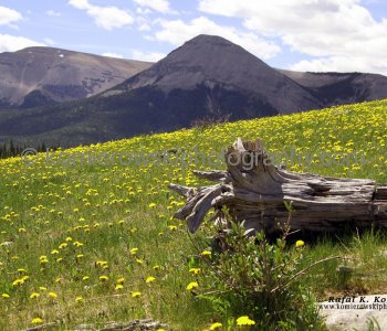 Kananaskis  Country,   Canadian Rockies,  East Slopes