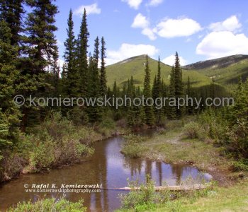 View of Powderface Ridge from Forgetmenot Pond, Kananaskis Country, Canadian Rockies, East Slopes, Alberta