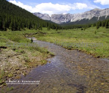 Prarie Creek (west) seen from Powderface Trail, Kananaskis Country, Canadian Rockies, East Slopes, Alberta