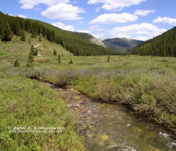 Prarie Creek (east) seen from Powderface Trail, Kananaskis Country, Canadian Rockies, East Slopes, Alberta
