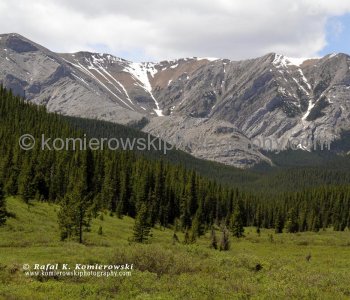 East Slopes of the Canadian Rockies viewed from  Powderface Trail, Kananaskis Country, Alberta
