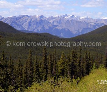 Yamnuska seen from Powderface Trail between Highway 66 and Sibald Flats, Kananaskis Country, Alberta