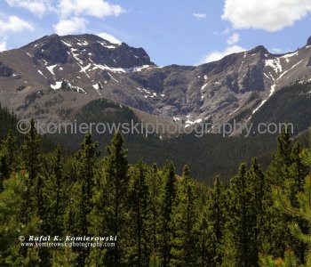East Slopes of the Canadian Rockies viewed from  Powderface Trail, Kananaskis Country, Alberta
