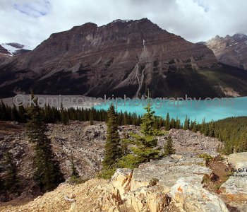 Peyto Lake, Banff National Park, Alberta, Icefields Parkway- Canadas most scenic mountain roadway
